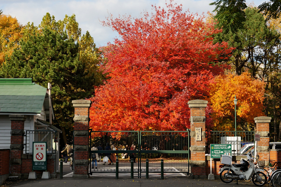 Large 131103 hokkaido university sapporo hokkaido japan01s3