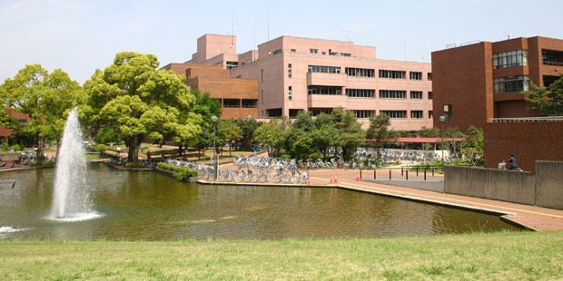 Large university of tsukuba