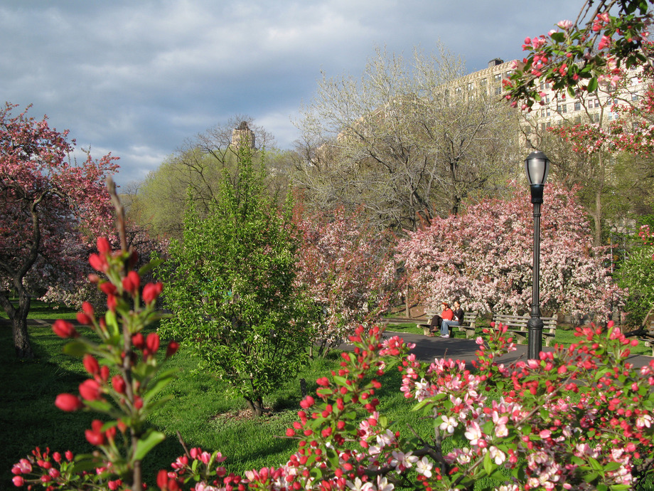 Large riverside park 02